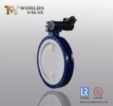 Dn750 All PTFE Lining Flange Butterfly Valve with Split Body