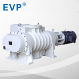 Roots Vacuum Pump/Vacuum Moulding Pump (ZJP-30 (30L/S) )