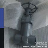 Forged Steel Socket Welded Gate Valve