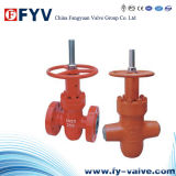 Water Injecting High Pressure Flat-Plate Gate Valve