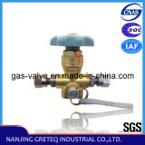 QF-T3A Brass Nature Gas Car Filling Valve with Best Price