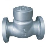 Pressure Seal Check Valve/Seal Check Valve/Check Valve/Bonnet Check Valve