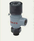 Spring Loaded Low Lift External Type Safety Valve