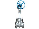 Professional Manufacturer of Cryogenic Gate Valve