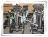 Sufficient Stocks Forged Globe Valves (J47H)