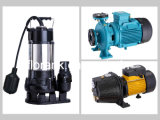 Water Pump (Submersible Pump, Jet Pump and Industry Pump with CE