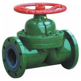 Manual Operation Diaphragm Valve with FEP Linning