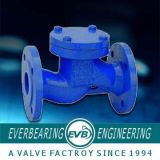 Supply for Low Price DIN Standard Check Valve