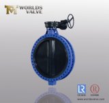 Dn1200 Rubber Lining Double Flange Butterfly Valve