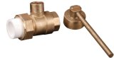 1/2 Forged Brass Ball Valve with Lock (YED-A1044)