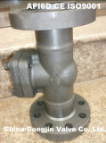 600lb Forged Steel Check Valve