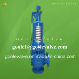 High Temperature and High Pressure Safety Relief Valve (GAA48SB)