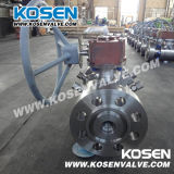 Worm-Gear Forged Trunnion Mounted Ball Valves