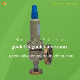 Closed Spring Loaded High Pressure Safety Relief Valve (GAA42Y)