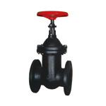 Cast Iron Flanged Wedge Gate Valve with No-Rising Stem