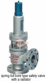 Spring Full Bore Type Safety Valve with Radiator