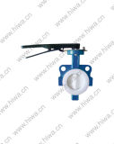 Line with PTFE Butterfly Valve (FIG: B80)