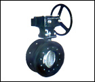 Single-Axis Butterfly Valve