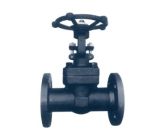 Forged Steel Flanged Gate Valve (Z41H-25)