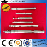 Oil Field Gas Lift Valve for Oil Production (LH00101)