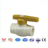 PPR Fittings Valve for Water Supply
