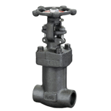 Bellows Seal Forged Globe Valve