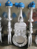 Worm Gear Knife Gate Valve for Water Supply