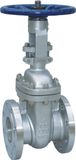 Gate Valve (ZZ-001)