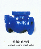 Resilient Sealing Check Valve