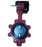 Double Axis Butterfly Valve in Lug Type (YH-D71X)