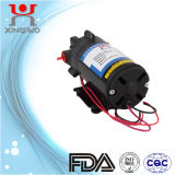 AC Electric Mirco Diaphragm Pump 5L/Min (DP002D2)