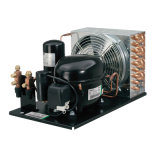 R404A Embraco Compressor Condensing Units for Commercial Refrigerator (T2168GK)