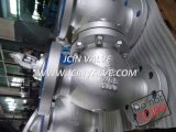 Flange Swing Check Valve for Industrial Service