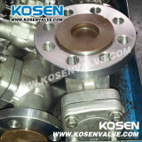 Stainless Steel Flanged End Check Valve
