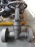 Pressure Seal Gate Valve of Flange Connection