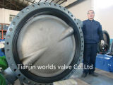 Dn1500 Double Flange Butterfly Valve (D41X-10/16)