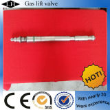 Oil Field Gas Lift Valve for Down Hole Equipment (LH00315)