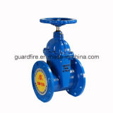 Soft Sealing Gate Valve Control Valve for Fire Fighting