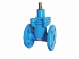 Resilient Seated Gate Valve Bs Dn100