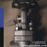 Forged Bolted Bonnet Gate Valve