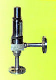 High Performance Liquid Expansion Pressure Relief Valve (HTXY)