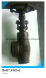 800lbs Forged Carbon Steel Right Angle Globe Valve