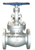 Globe Valve