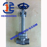 Forged Low Temperature 304 800lb Gate Valve