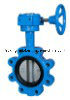 Cast Iron 125lbs Non-Rising Stem Flanges End Butterfly Valve