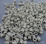 Alumina Ceramic Mini Rasching Ring for Chemical Tower with Dia10mm