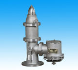 Pressure Vacuum Relief Valve (CF50-CF250)