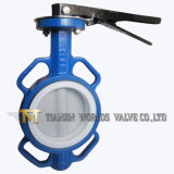 Dn100 Lever Operated All Lining PTFE Anti-Corrosion Wafer Butterfly Valve