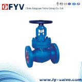 Forged Steel Threaded Globe Valve with Manual