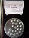 Steel Ball 304 12.7mm